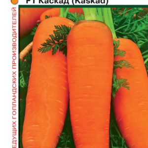 Морковь Каскад F1 0,3 г (Голландия)