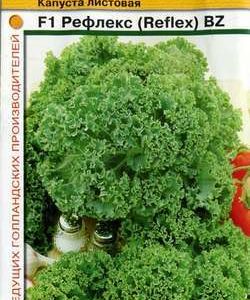 Капуста листовая Рефлекс* F1 0,1 г (Голландия)