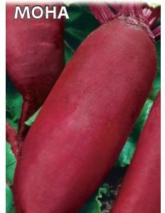 Свекла Мона 1,0 г