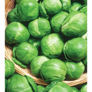 Капуста брюссел. Геркулес 0,2 г сер. Традиция