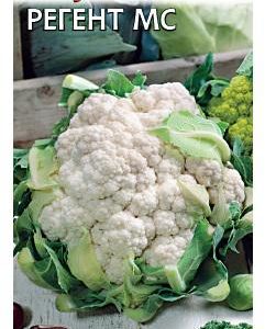 Капуста цветная Регент МС 0,2 г