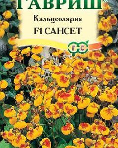 Кальцеолярия Сансет* F1 10 шт.