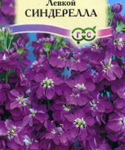 Левкой Синдерелла* F1 10 шт. серия Сад ароматов