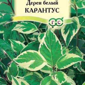 Дерен белый Карантус 0,1 г
