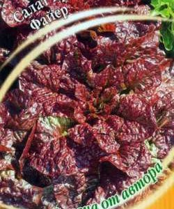 Салат Файер 1,0 г. красный автор.