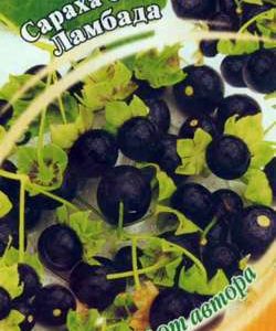 Сараха Ламбада овощная 10 шт. автор.