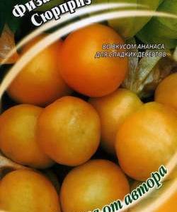 Физалис изюмный Сюрприз* 20 шт. автор