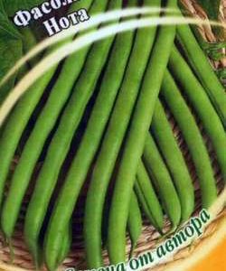 Фасоль Нота 10 шт автор.