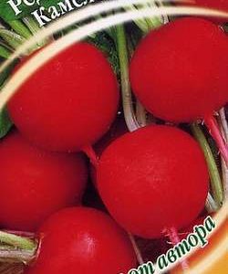 Редис Камелот 2,0 г автор.