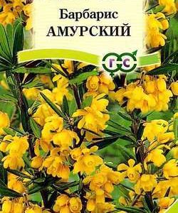 Барбарис амурский 0,2 г