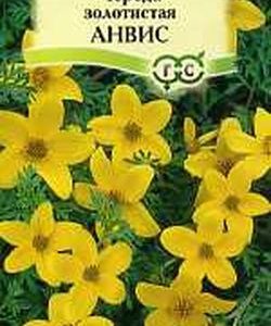 Череда Золотистая Анвис 0,1 г