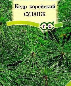 Кедр корейский Суланж 1,5 г