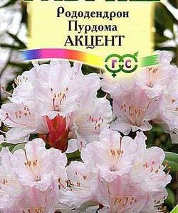 Рододендрон Пурдома* 0,03 г