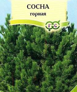 Сосна горная* 0,1 г