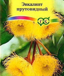 Эвкалипт прутовидный Гибсона* 0,01 г