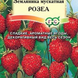 Земляника мускатная Розеа* 0,01 г.