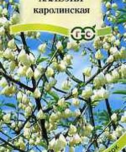 Халезия каролинская 3 шт