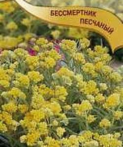 Бессмертник песчаный* 0,02 г