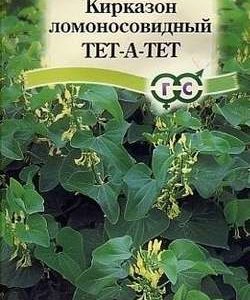 Кирказон ломоносовидный Тет-а-тет 3 шт.