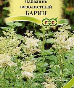 Лабазник вязолистный Барин* 0,01 г