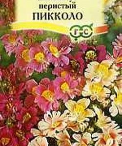 Шизантус перистый Пикколо* 0,05 г