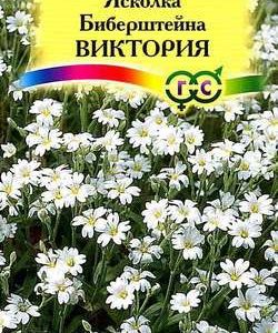 Ясколка Биберштейна Виктория* 0,05 г сер. Альпийская горка