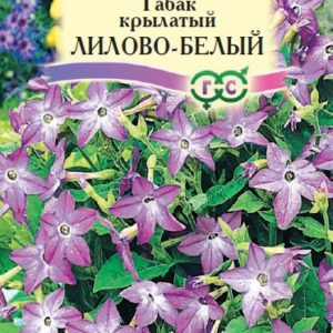 Табак Лилово-белый крылатый* 0,1 г серия Сад ароматов