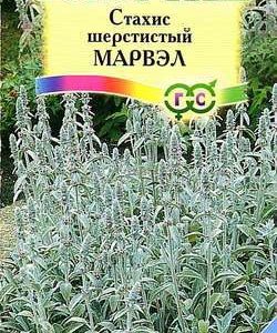 Стахис шерстистый Марвэл* 0,05 г сер. Альпийская горка