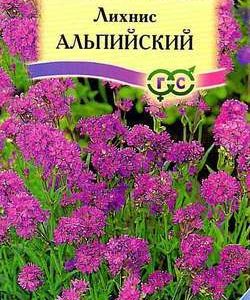Лихнис альпийский (смолка)* 0,05 г Н9 сер. Альпийская горка