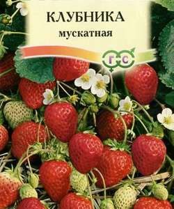 Клубника мускатная* 0,01 г
