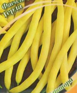 Фасоль Герда 10 шт. автор.