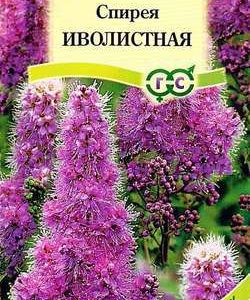 Спирея иволистная (розовый)* 0,1 г
