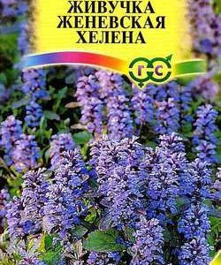 Живучка женевская Хелена* 0,02 г