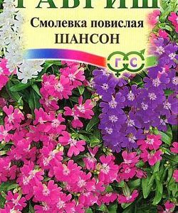 Смолевка повислая Шансон (силена)* 0,1 г