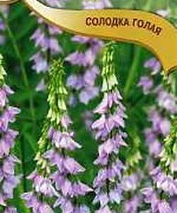 Солодка голая Аллегро 0,5 г Н11