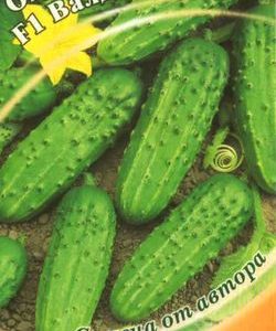 Огурец Валдай F1 10 шт. автор