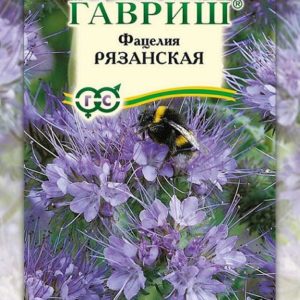 Фацелия Рязанская 20 г