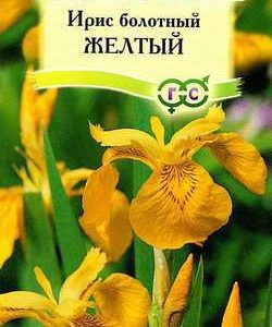 Ирис болотный Желтый 3 шт.