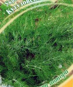 Укроп Кутузовский 2 г автор.