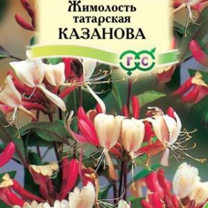 Жимолость татарская Казанова* 0,08 г