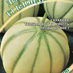 Дыня Блонди F1 15 шт. автор.