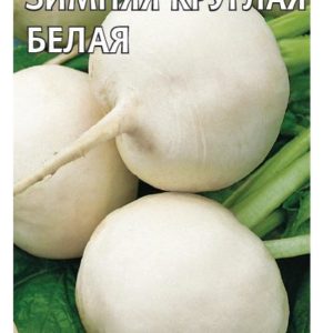 Редька Зимняя круглая белая 2,0 г сер. Традиция Н11