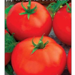 Томат Дар Заволжья 0,2 г сер. Огород без хлопот Н8