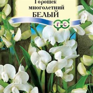 Горошек многолетний Белый 0,5 г