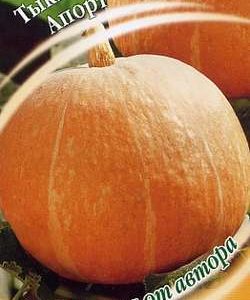 Тыква Апорт 1,0 г автор. DH