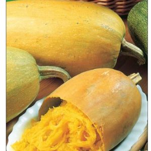 Тыква Спагетти 2,0 г Н8