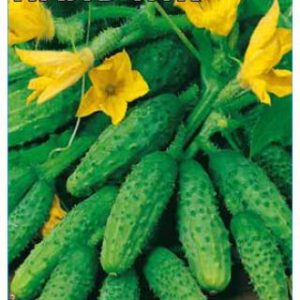 Огурец Пальчик 0,5 г