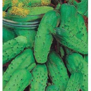 Огурец Солнечный 0,5г