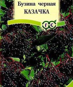 Бузина черная Казачка* 0,1 г