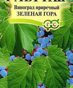 Виноград приречный Зеленая гора 5 шт.